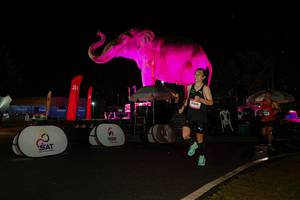 BIB: 
                            <button type="button" onclick="openModal(26535405)" class="btn btn-primary btn-sm float-right btn-popup" data-toggle="modal" data-target=".modal-high-quality">
                        <i class="fas fa-shopping-cart"></i> Add to Cart
                    </button>
                                            <button type="button" onclick="isThisMe(26535405, true)" class="btn btn-success btn-sm float-right btn-popup btn-isme hidden" data-toggle="tooltip" data-placement="bottom" title="นี่คือรูปของคุณใช่ไหม คลิกที่นี่เพื่อเอาเข้าอัลบั้ม">
                        <i class="fas fa-plus"></i> Add to album
                    </button>
                    <button type="button" onclick="isThisMe(26535405, false)" class="btn btn-warning btn-sm float-right btn-popup btn-isnotme hidden">
                        <i class="fas fa-ban"></i> Remove from album
                    </button>